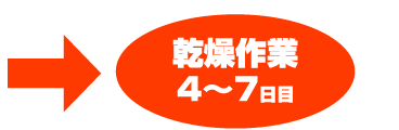 乾燥作業　４縲鰀7日目